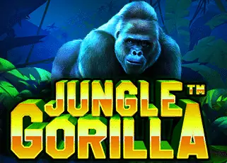 เว็บตรง อันดับ1 Jungle Gorilla ทดลองเล่นฟรี
